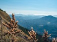 Ötscher (1893 m) Bergtour am 21.9.2018