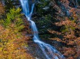 Wanderung durch die Ötschergräben - Hintere Tormäuer von Stierwaschboden bis Erlaufboden am 23. Oktober 2016