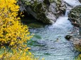 Wanderung durch die Ötschergräben - Hintere Tormäuer von Stierwaschboden bis Erlaufboden am 23. Oktober 2016