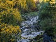 Wanderung durch die Ötschergräben - Hintere Tormäuer von Stierwaschboden bis Erlaufboden am 23. Oktober 2016