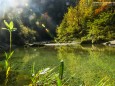 Wanderung durch die Ötschergräben - Hintere Tormäuer von Stierwaschboden bis Erlaufboden am 23. Oktober 2016