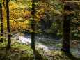 Wanderung durch die Ötschergräben - Hintere Tormäuer von Stierwaschboden bis Erlaufboden am 23. Oktober 2016