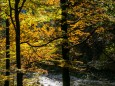 Wanderung durch die Ötschergräben - Hintere Tormäuer von Stierwaschboden bis Erlaufboden am 23. Oktober 2016