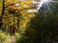 Wanderung durch die Ötschergräben - Hintere Tormäuer von Stierwaschboden bis Erlaufboden am 23. Oktober 2016