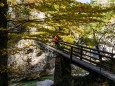 Wanderung durch die Ötschergräben - Hintere Tormäuer von Stierwaschboden bis Erlaufboden am 23. Oktober 2016