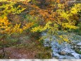 Wanderung durch die Ötschergräben - Hintere Tormäuer von Stierwaschboden bis Erlaufboden am 23. Oktober 2016