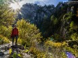 Wanderung durch die Ötschergräben - Hintere Tormäuer von Stierwaschboden bis Erlaufboden am 23. Oktober 2016