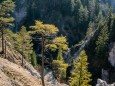 AUFSTIEG zum JÄGERHERZ/Wandertour Erlaufklause-Ötschergräben-Jägerherz-Ötscher Schneegrenze