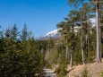 AM WEG zum JÄGERHERZ/Wandertour Erlaufklause-Ötschergräben-Jägerherz-Ötscher Schneegrenze