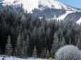 Steirische Polizei-Landesmeisterschaften im Mariazellerland. Biathlon am 24. Jänner 2013