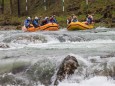 rafting-europacup-wildalpen-2023-9329