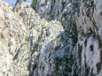 Rechts an der Wand entlang führt der Steig - Brunnsee auf die Riegerin - Bergtour - 3.Juli 2014