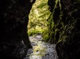 Leider ist der Ausflug in eine zauberhafte Naturwelt gleich vorbei - Roßlochklamm zwischen Frein und Mürzsteg