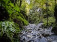 Eine Weggabelung - Roßlochklamm zwischen Frein und Mürzsteg