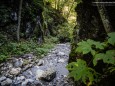 Roßlochklamm zwischen Frein und Mürzsteg