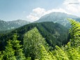 Wanderung Rotsohlalm - Turnauer Alm - Turntaler Kogel