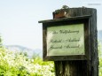 Wanderung Rotsohlalm - Turnauer Alm - Turntaler Kogel