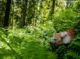 Wanderung Rotsohlalm - Turnauer Alm - Turntaler Kogel