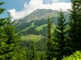 Blick zur Hohen Veitsch - Wanderung Rotsohlalm - Turnauer Alm - Turntaler Kogel