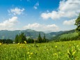 TURNAUER ALM - Wanderung Rotsohlalm - Turnauer Alm - Turntaler Kogel