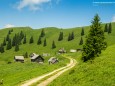 TURNAUER ALM - Wanderung Rotsohlalm - Turnauer Alm - Turntaler Kogel