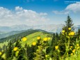 Blick zum Hochschwab vom Turntaler Kogel - Wanderung Rotsohlalm - Turnauer Alm - Turntaler Kogel