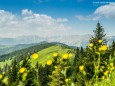 Blick zum Hochschwab vom Turntaler Kogel - Wanderung Rotsohlalm - Turnauer Alm - Turntaler Kogel