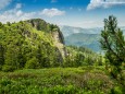 TURNTALER KOGEL - Wanderung Rotsohlalm - Turnauer Alm - Turntaler Kogel