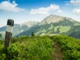 TURNTALER KOGEL Blick zur Hohen Veitsch - Wanderung Rotsohlalm - Turnauer Alm - Turntaler KogelWanderung Rotsohlalm - Turnauer Alm - Turntaler Kogel