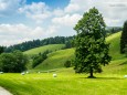 Wanderung Rotsohlalm - Turnauer Alm - Turntaler Kogel