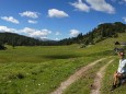 Sackwiesenalm bei der Bodenbauer-Häuslalm-Sackwiesenalm-Sackwiesensee-Wanderung