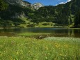 Sackwiesensee bei der Bodenbauer-Häuslalm-Sackwiesenalm-Sackwiesensee-Wanderung