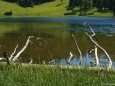 Sackwiesensee bei der Bodenbauer-Häuslalm-Sackwiesenalm-Sackwiesensee-Wanderung