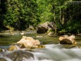 Salzaklamm Rundwanderung - Mariazell