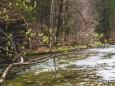 salzaklamm-rundwanderung-mariazell-4096