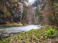 salzaklamm-rundwanderung-mariazell-4101