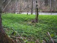 salzaklamm-rundwanderung-mariazell-4104