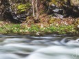 salzaklamm-rundwanderung-mariazell-4130