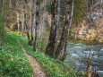 salzaklamm-rundwanderung-mariazell-4137