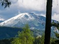 Gemeindealpe - Sauwand (1420 m) – Rundwanderung im Mariazellerland