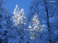 Sauwand Wanderung am 10. Dezember 2014 - Fotoimpressionen von Gerhard Wagner