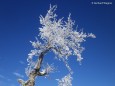 Sauwand Wanderung am 10. Dezember 2014 - Fotoimpressionen von Gerhard Wagner