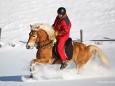 Werner Feldhammer beim Skijoering