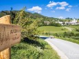 Fotopoint beim Feldbauer, und das Schweinderl läuft gerade über die Straße - Sommeridylle pur - mariazellerland-sommerfotos-2020-5765