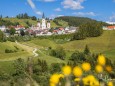 Fotopoint beim Feldbauer - mariazellerland-sommerfotos-2020-5773