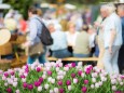 Steiermark Frühling 2015 in Wien am Rathausplatz