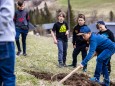 Bepflanzung der zukünftigen Streuobstwiese beim Feldbauer/Fam. Eder am 12. April 2021