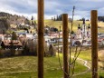 Bepflanzung der zukünftigen Streuobstwiese beim Feldbauer/Fam. Eder am 12. April 2021