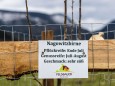 Bepflanzung der zukünftigen Streuobstwiese beim Feldbauer/Fam. Eder am 12. April 2021