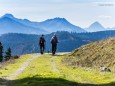 Wanderung auf den Tirolerkogel (1377 m) und  die Kuchl Alm ab Annaberg am 1. Nov. 2016